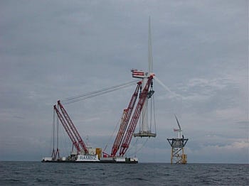 'Rambiz' in action  'Rambiz' in action