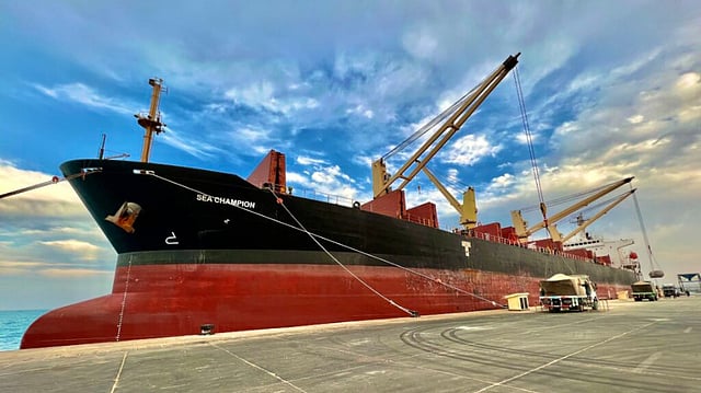 Egypt Container Port AD Ports Group appoints firm for terminal construction on Egypt's Red ...