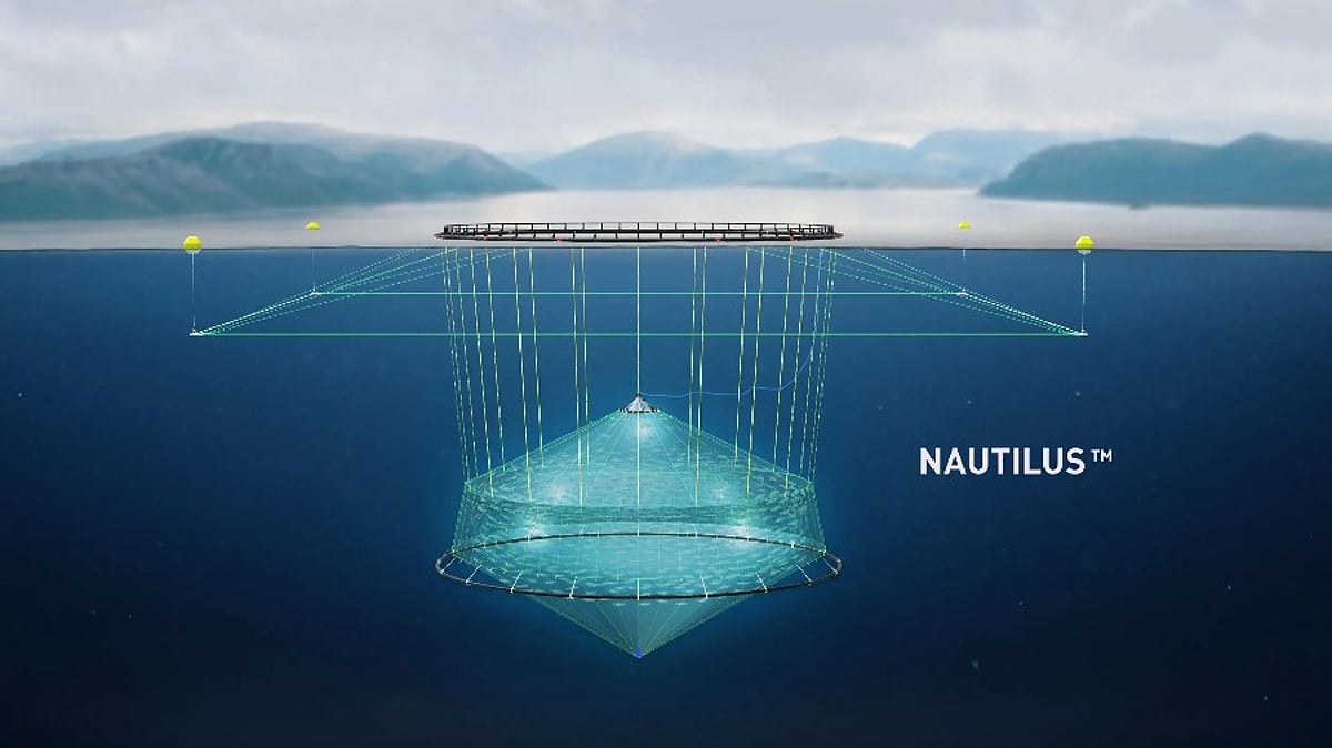 Ode expands investment in submersible cod farming