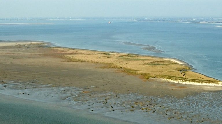 Jan De Nul begins sand replenishment trial in Westerschelde estuary
