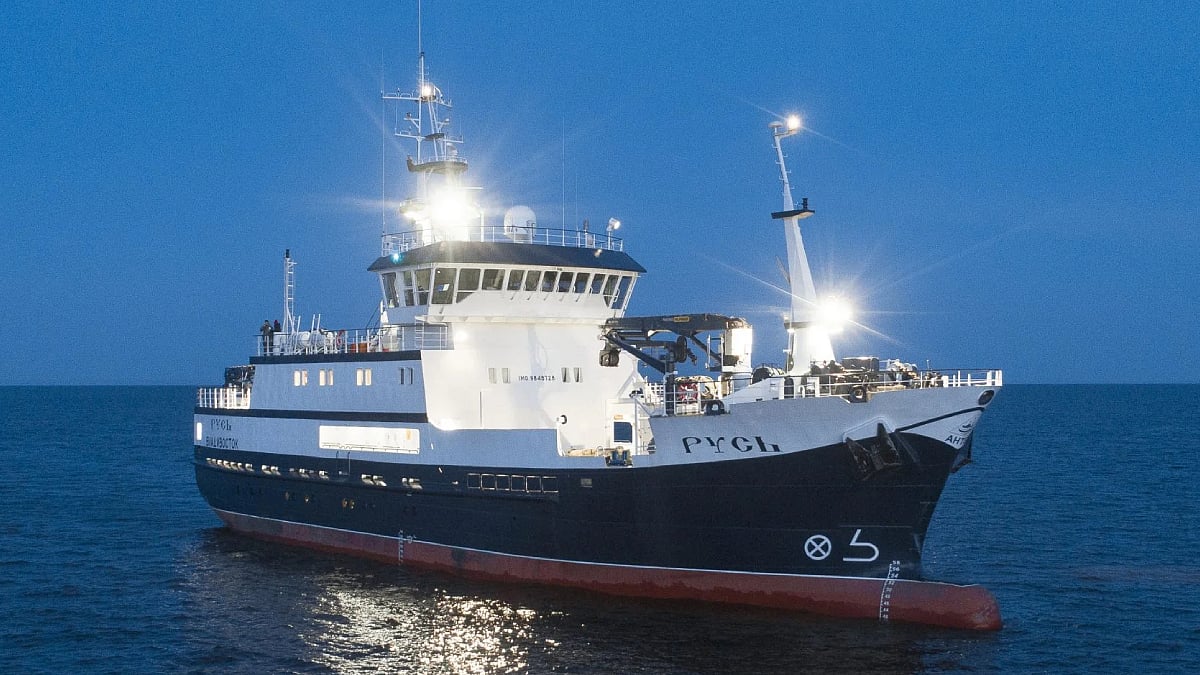 港　漁 ☆新品未使用☆Cobra×VESSEL 港 漁 ☆新品未使用☆Cobra×VESSEL 楽天市場】最大10%OFFクーポン