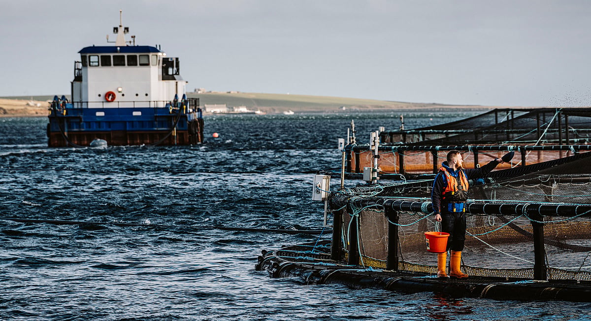Scottish salmon processor fined for theoretical climate disaster