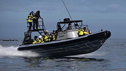 Commercial/Government Rigid Inflatable Boats & Rigid-Hull Inflatable ...
