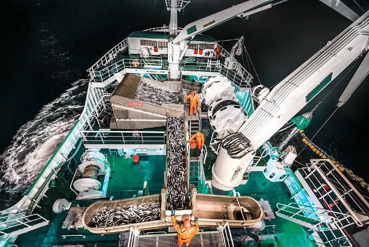 Introduction Fish Handling AWARDS 2020 | Best Fish Handling System Supplier – Cflow Fish Handling