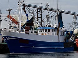 Greenpeace catches Danish vessels fishing illegally