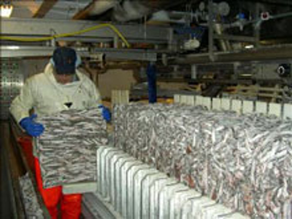 Iceland Companies With Quotas Will Meet Commitments Iceland companies with quotas will meet commitments