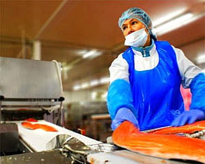 Norway: Morpol reports good results despite high raw material costs