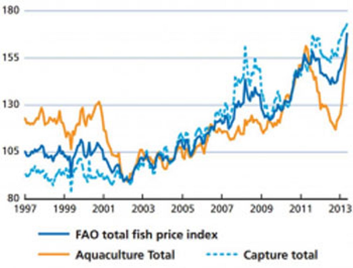 FAO fish price index at all time high