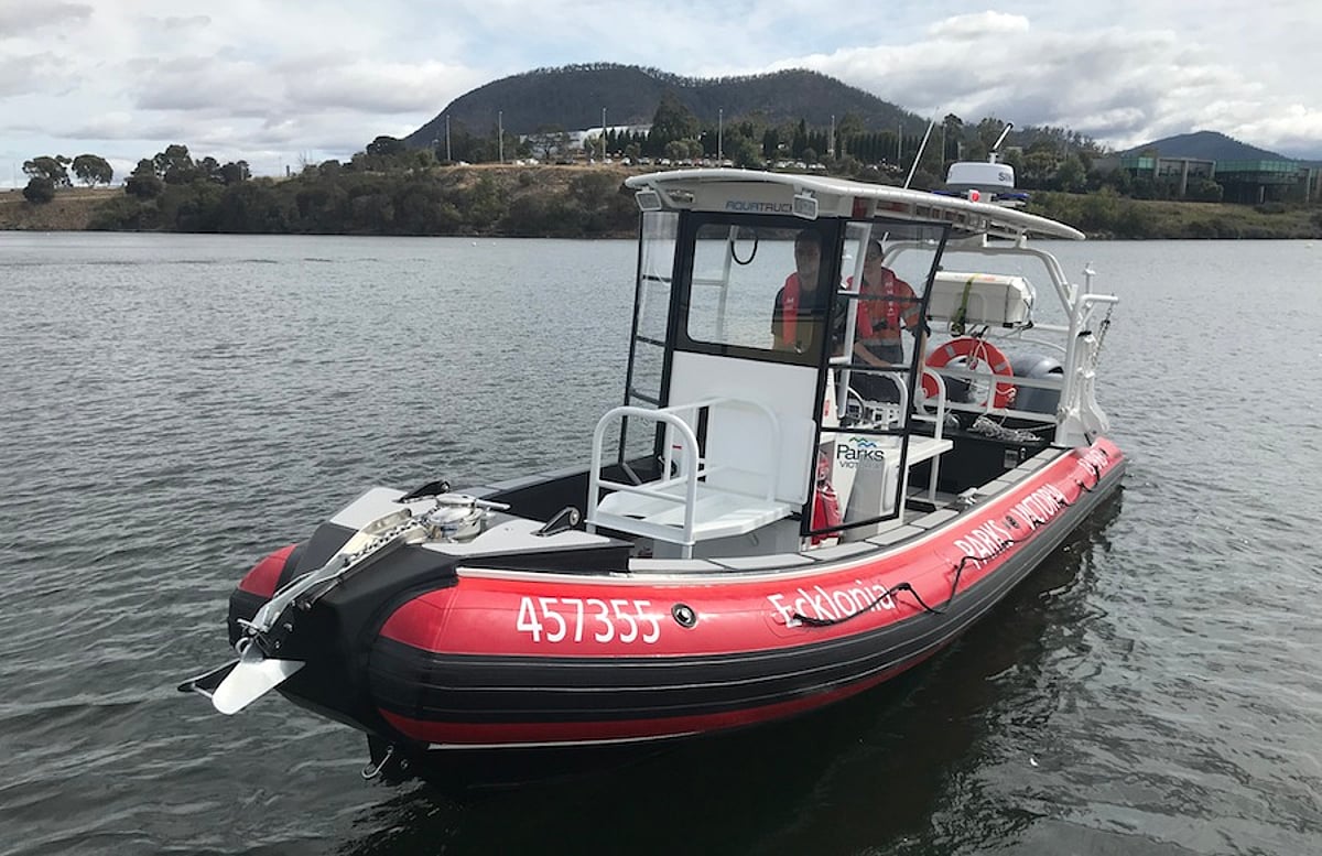 VESSEL REVIEW | Ecklonia – Eight-metre diving/patrol RHIB for south ...