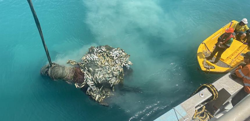 Eight tonnes of ghost net retrieved from Queensland waters in December
