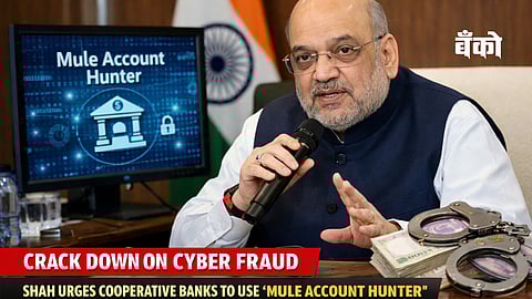 Amit Shah - Mule Account Hunter