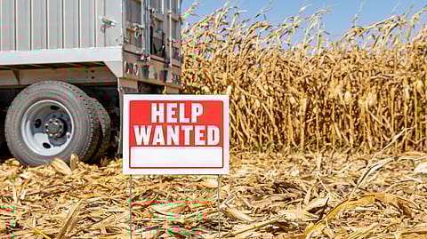 Farm labor stock image BankNews.com