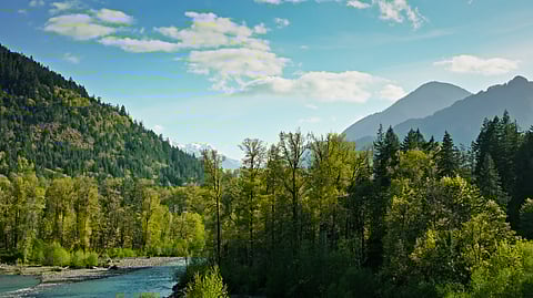 Pacific Northwest image BankNews.com