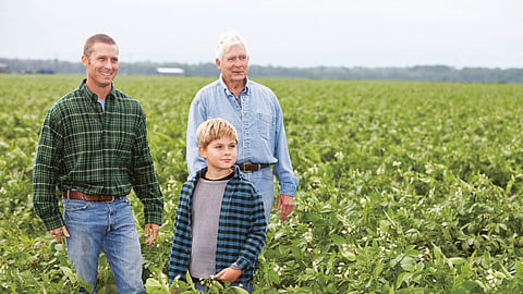 Farmers succession planning feature photo