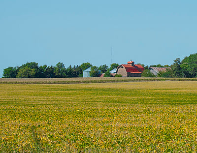 A farmstead sits next to a soybean crop outside of Ottosen, Iowa, Sept. 17, 2017.
USDA Photo by Preston Keres