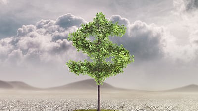 Climate risk ahead? How your bank can prepare