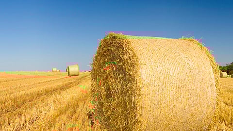 BankBeat agriculture stock image