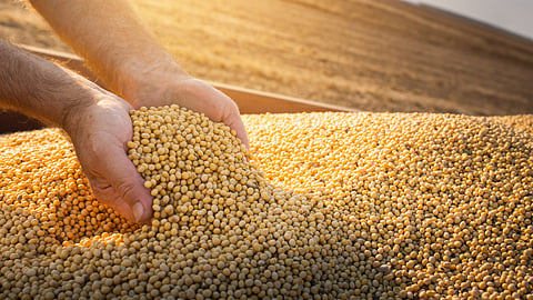 Crop stock image BankNews.com