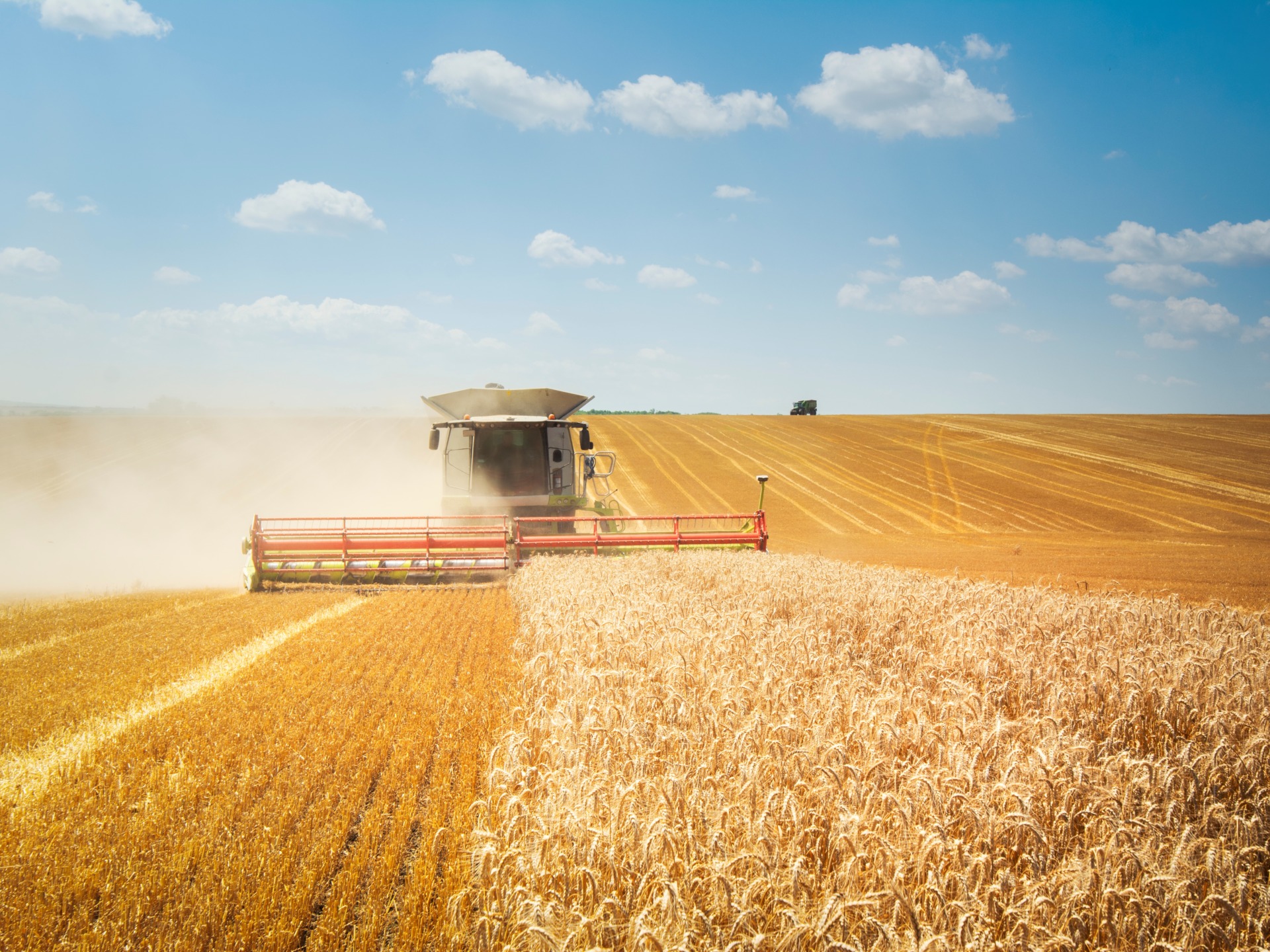 Farm stock image BankNews.com