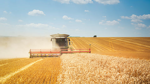 Agriculture stock image BankNews.com