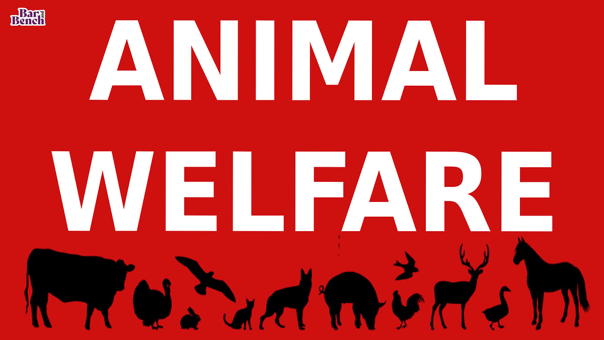 News 14 Will impose exemplary costs: Supreme Court warns States, UTs over delayed response to plea for functional animal welfare boards