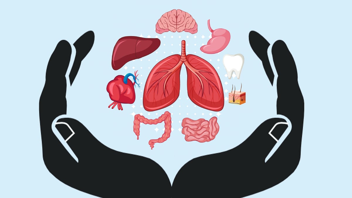 Delhi High Court prescribes timelines for completing various steps in organ transplantation process - Vimarsana News