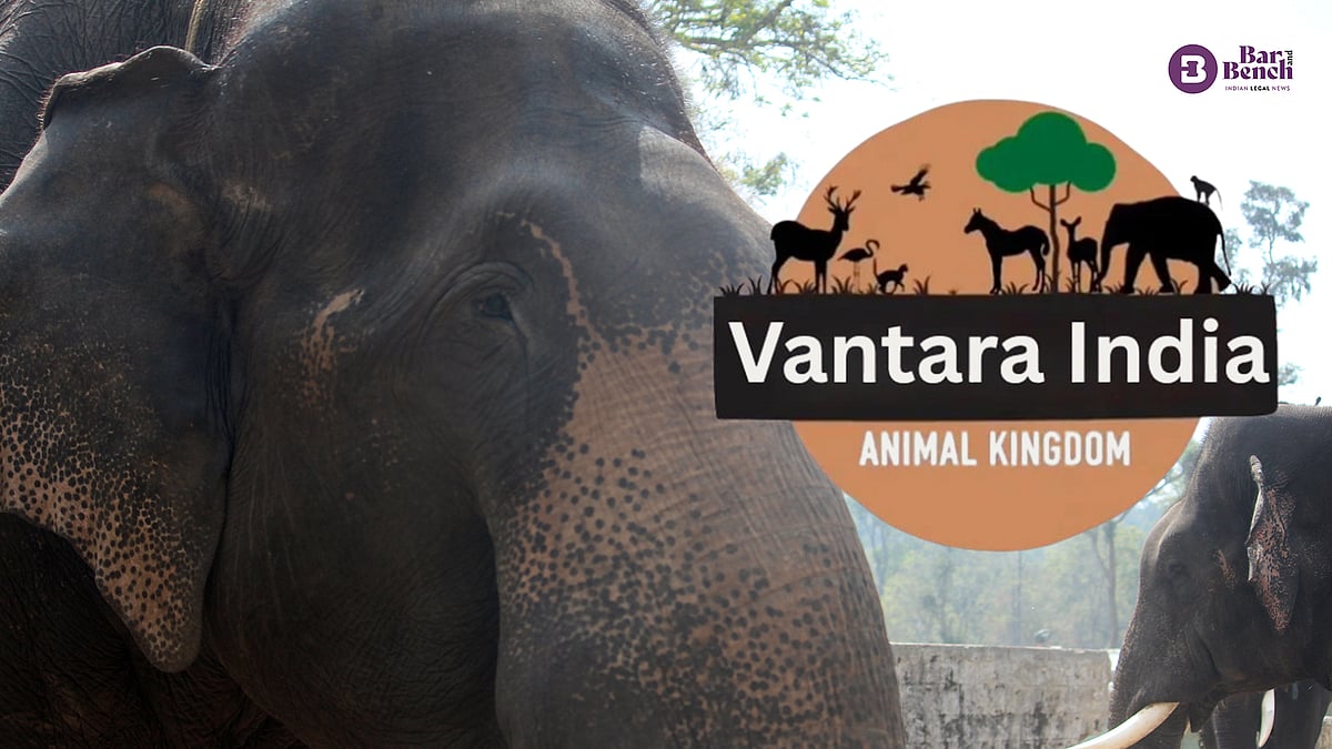Supreme Court rejects petition for probe into Vantara’s wildlife imports