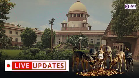 Supreme Court, stray dogs