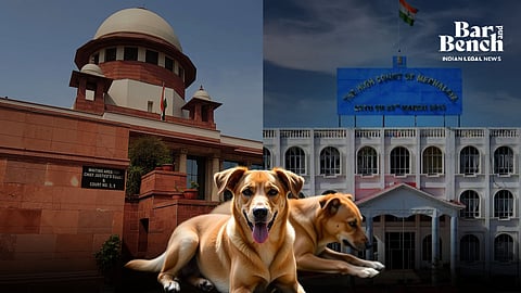Supreme Court, Meghalaya High Court and Stray Dogs