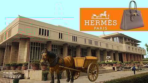 Delhi High Court, Hermès logo, Birkin bag