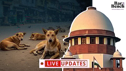 Supreme Court, Stray Dogs