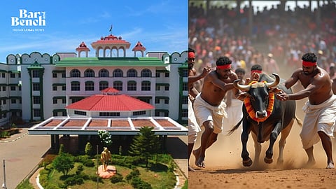 Madurai Bench of Madras HC and Jallikattu