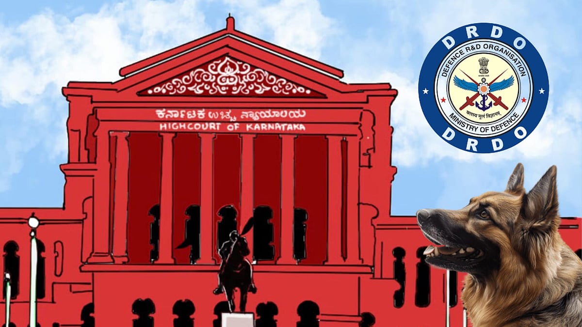 Karnataka HC allows police to file chargesheet on disappearance of 21 stray dogs from DRDO township