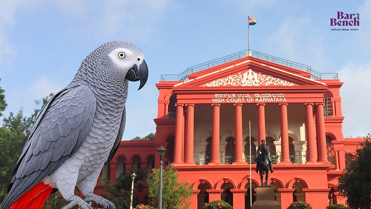 Bengaluru man moves Karnataka High Court to challenge seizure of his African grey parrot