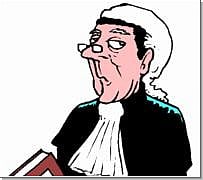 2010 The Year of the Entrepreneurial Lawyer