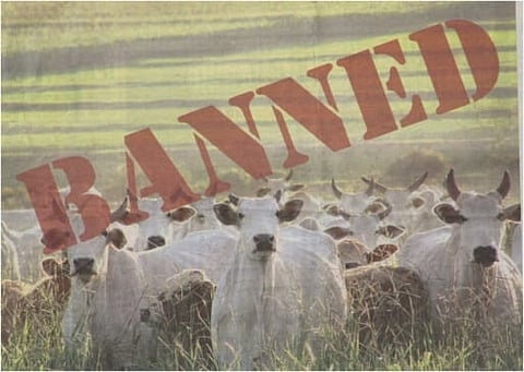 #Banistan? Why the J&K High Court is not to blame for the beef ban