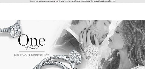 [Exclusive]: Nirav Modi blames PNB scam for bankruptcy; US Companies may be sold (Read court filings)