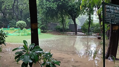 Delhi Rains
