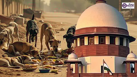 Supreme Court, Stray Dogs
