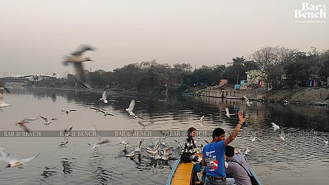 Yamuna river
