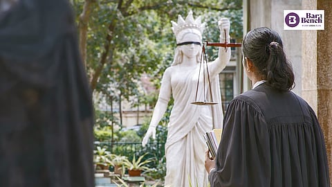 Woman Lawyer (Representation only)
