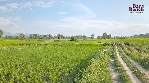 Farmer, agricultural land (For representation only)
