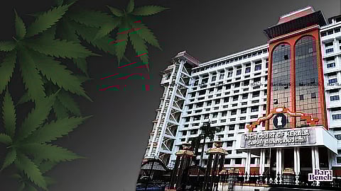 Kerala HC, Marijuana leaves