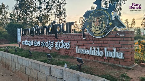 ಬಂಡೀಪುರ, ನಾಗರಹೊಳೆಯಲ್ಲಿ ಸಫಾರಿಗೆ ನಿಷೇಧ ಹೇರಲು ಹೈಕೋರ್ಟ್‌ ನಕಾರ; ಅಫಿಡವಿಟ್‌ ಸಲ್ಲಿಸಲು ಸರ್ಕಾರಕ್ಕೆ ನಿರ್ದೇಶನ