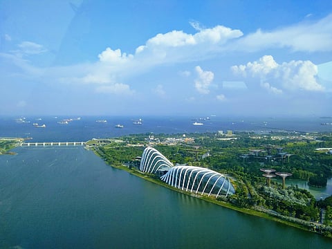 Singapore July base oils exports fall
