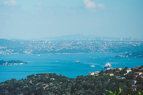 Turkey's July Group I imports hold firm 