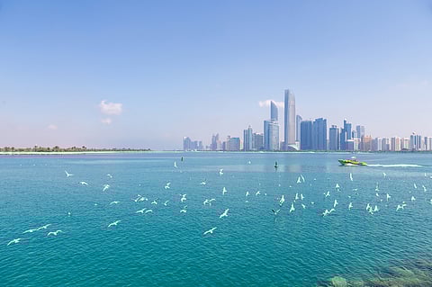 Global premium-grade imports from Mideast rise in March