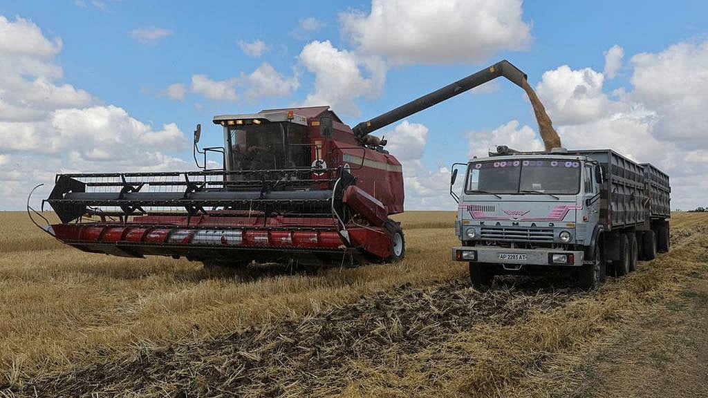 Ukraine works to resume grain exports, flags Russian strikes as risk