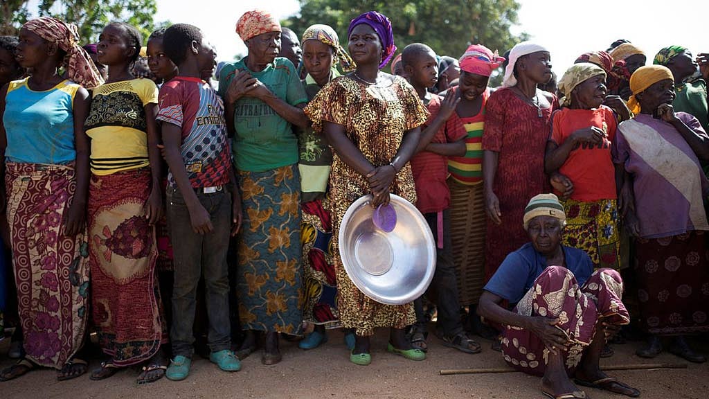 Ukraine war making 40m people go hungry, Africa to bear brunt: US