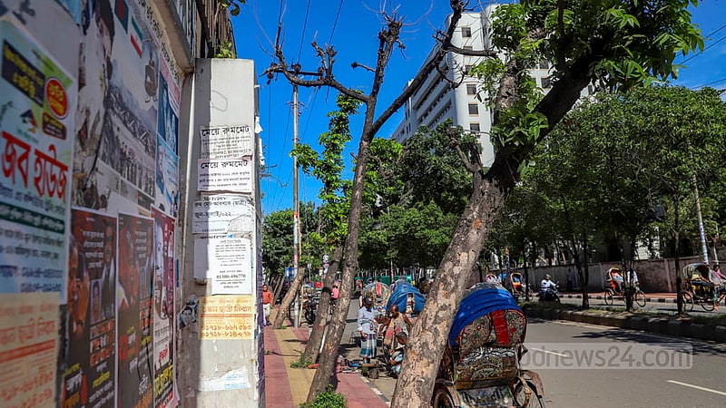 Surrounded by concrete for a long time, trees on a footpath of Dhaka are dying.